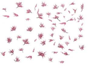 daughter village plants - peach branches 3D Model