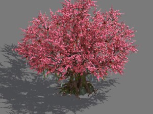daughter village plant - center big peach tree 01 3D Model