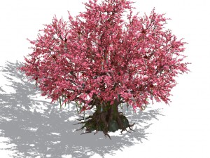 daughter village plant - center big peach tree 01 3D मॉडल