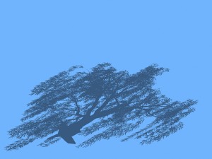 forest trees - willow 01 3D मॉडल