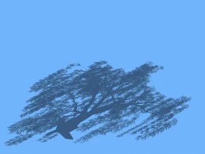 forest trees - willow 01 3D Model