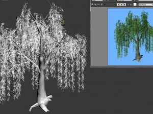 forest trees - willow 01 3D Model