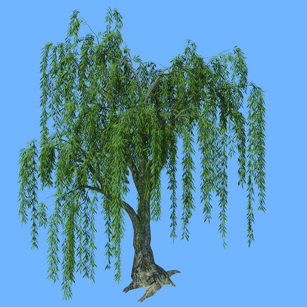 forest trees - willow 02 3D Model .c4d .max .obj .3ds .fbx .stl .blend