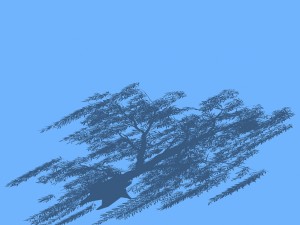 forest trees - willow 02 Model 3D