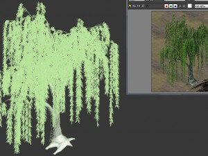 forest trees - willow 02 Model 3D