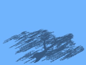 forest trees - willow 03 3D Model