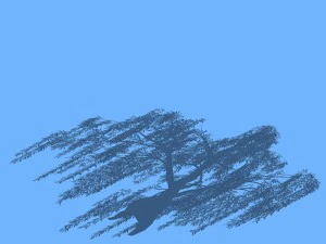 forest trees - willow 03 3D Model
