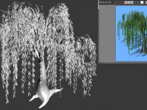forest trees - willow 03 3D Model