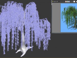 forest trees - willow 03 3D Model