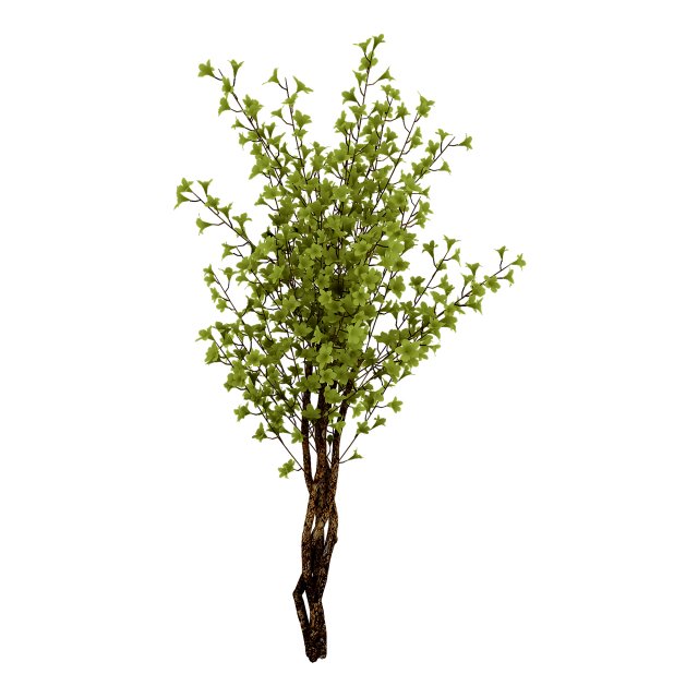 forest plants - small trees 032 Modello 3D .c4d .max .obj .3ds .fbx .stl .blend