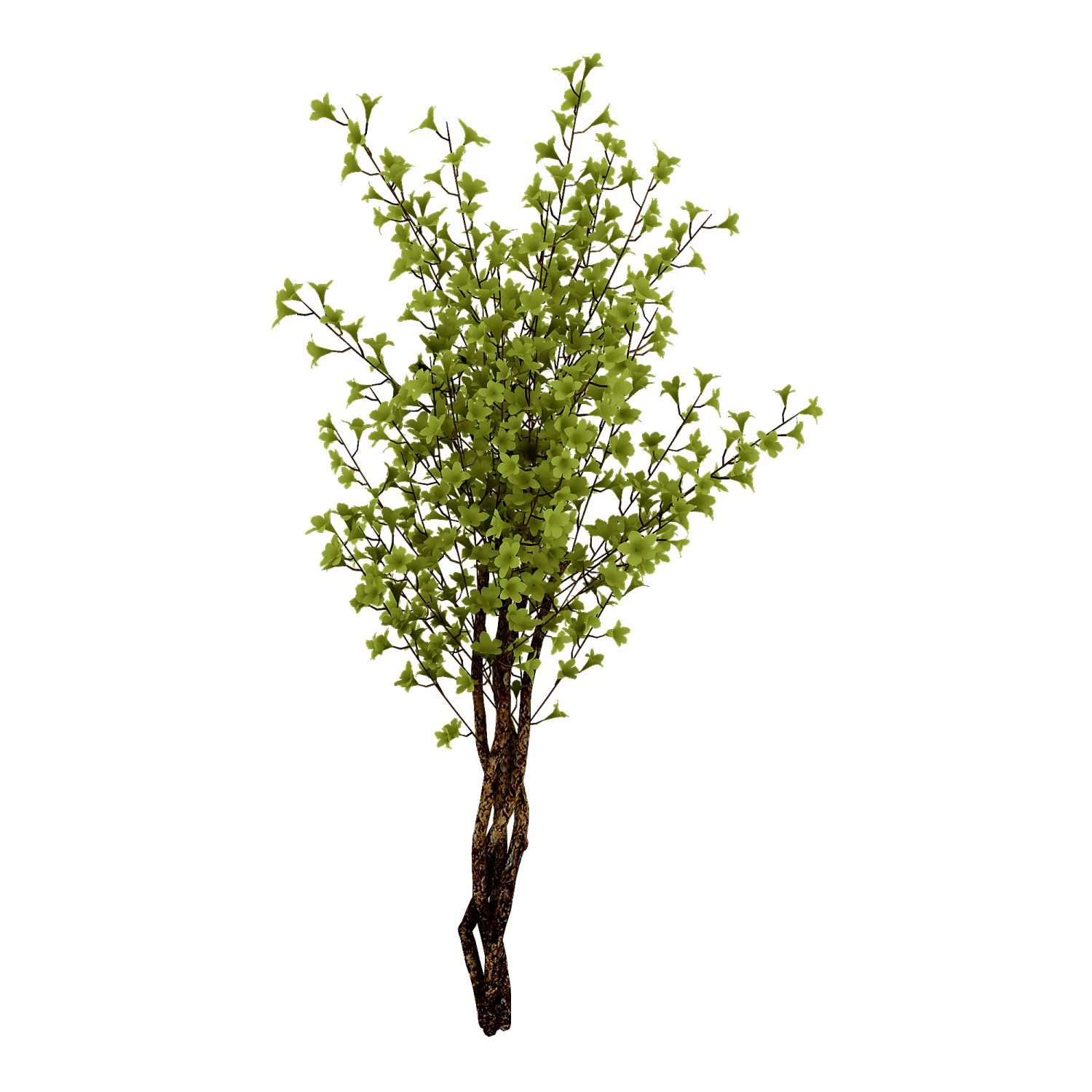 forest plants - small trees 032 3D Model .c4d .max .obj .3ds .fbx .stl .blend