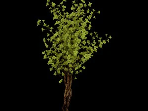 forest plants - small trees 032 3D Model