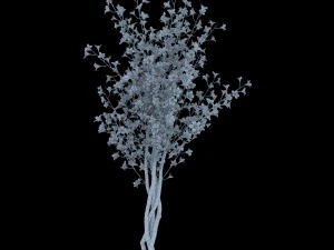 forest plants - small trees 032 3D Model