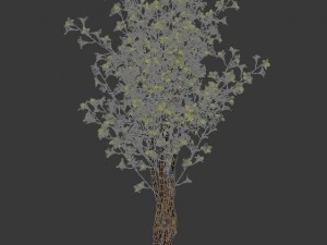 forest plants - small trees 032 3D Model