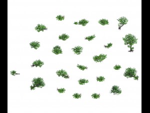 lion camel - mountain cliff plant 01 3D Модель