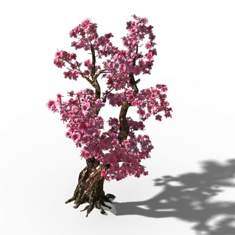 taihu lake coast - peach trees 3D मॉडल .c4d .max .obj .3ds .fbx .stl .blend 