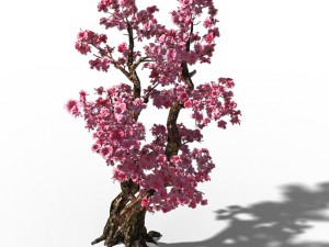 taihu lake coast - peach trees 3D मॉडल