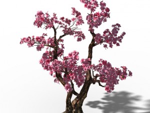 taihu lake coast - peach trees 3D मॉडल