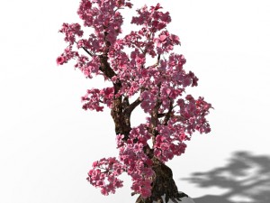 taihu lake coast - peach trees 3D मॉडल