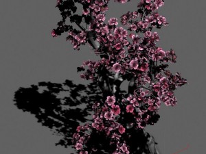 taihu lake coast - peach trees 3D मॉडल