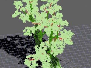taihu lake coast - peach trees 3D मॉडल