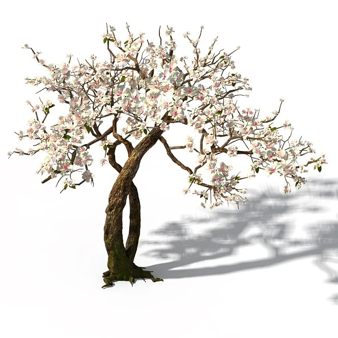 peach blossom island - trees 06 3D Model .c4d .max .obj .3ds .fbx .stl .blend 