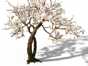peach blossom island - trees 06 3D Model
