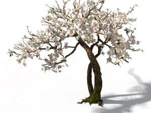 peach blossom island - trees 06 3D Model