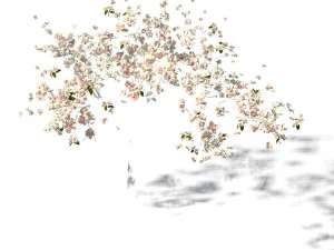 peach blossom island - trees 06 3D Model