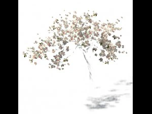 peach blossom island - trees 06 3D Model