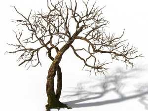 peach blossom island - trees 06 3D Model