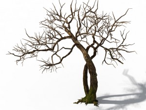 peach blossom island - trees 06 Modelo 3D