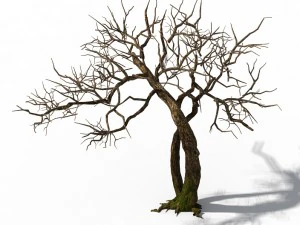 peach blossom island - trees 06 3D Model