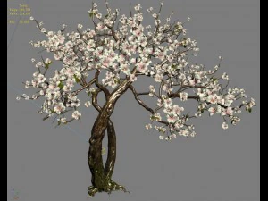 peach blossom island - trees 06 3D Model
