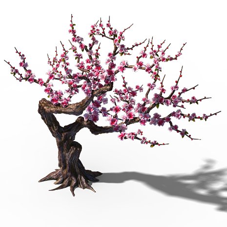 Peach Blossom Island Peach Tree 01 3d Model In Bush 3dexport