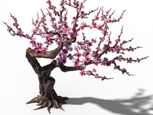 peach blossom island - peach tree 01 3D मॉडल