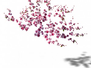peach blossom island - peach tree 01 3Dモデル