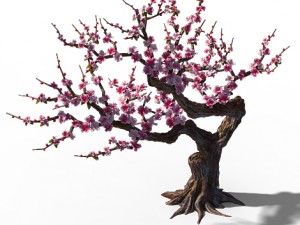 peach blossom island - peach tree 01 3Dモデル