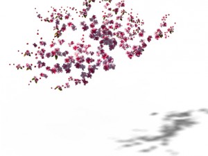 peach blossom island - peach tree 01 3Dモデル