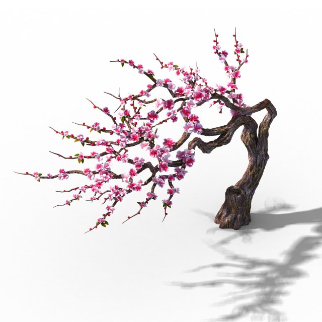 peach blossom island - peach tree 03 3Dモデル .c4d .max .obj .3ds .fbx .stl .blend 