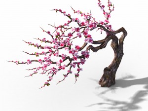 peach blossom island - peach tree 03 3D मॉडल