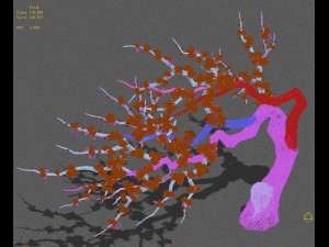 peach blossom island - peach tree 03 3Dモデル