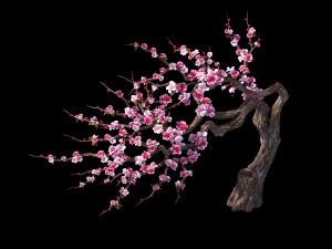 peach blossom island - peach tree 03 3Dモデル