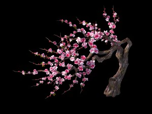 peach blossom island - peach tree 03 3D Model