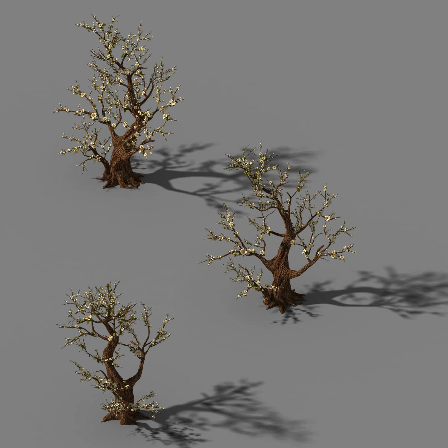 peach blossom island - plant - big trees 02 3D Model .c4d .max .obj .3ds .fbx .stl .blend 