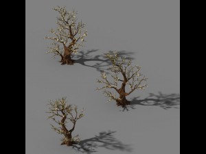 peach blossom island - plant - big trees 02 3D Model