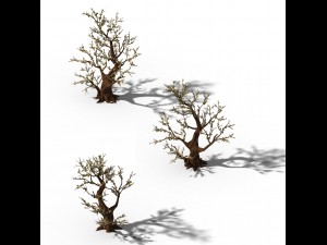 peach blossom island - plant - big trees 02 Modelo 3D