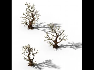 peach blossom island - plant - big trees 02 3D Model