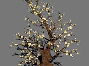 peach blossom island - plant - big trees 02 Modelo 3D
