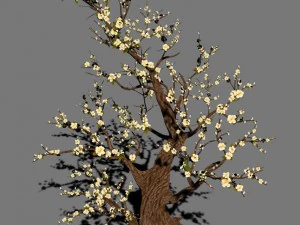 peach blossom island - plant - big trees 02 3D Model